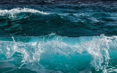 La estrategia de penetración en los mercados: los océanos azules